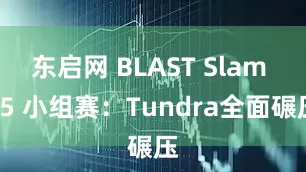 东启网 BLAST Slam S5 小组赛：Tundra全面碾压