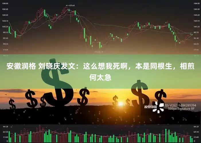 安徽润格 刘晓庆发文：这么想我死啊，本是同根生，相煎何太急