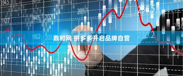 鼎和网 拼多多开启品牌自营
